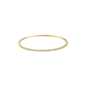 Hinged Bangle